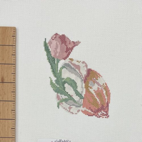 Tulip in Shell Kit - Image 2