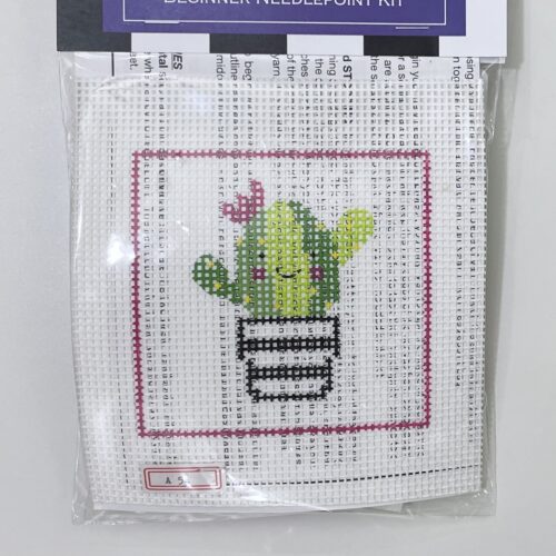 Beginner Succulent Kit
