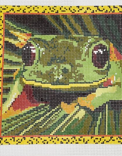Frog Upclose