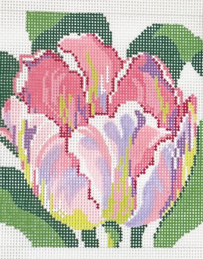 Tulip Blossom