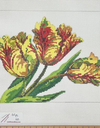 Parrot Tulips