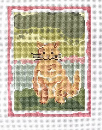 Mollie, Orange Calico Cat