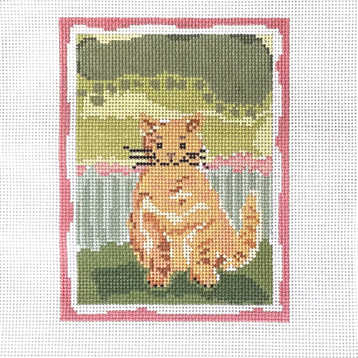 Mollie, Orange Calico Cat