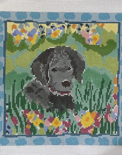 Camille, Black Dog