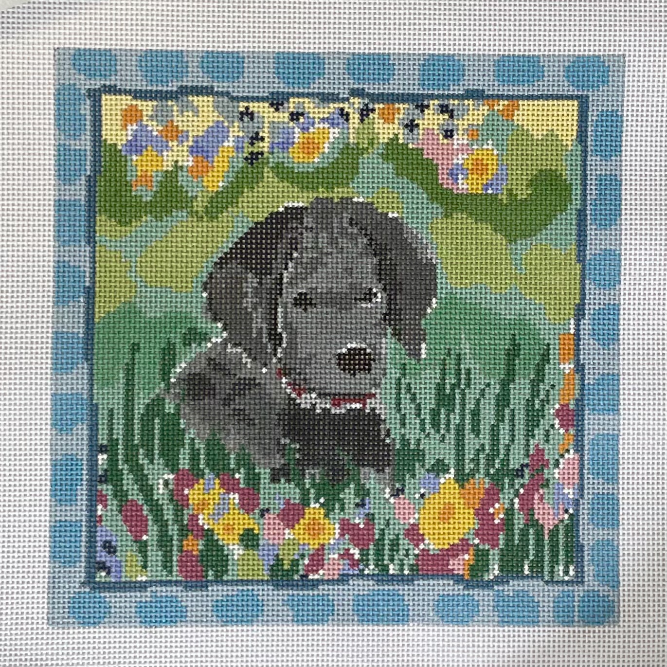 Camille, Black Dog