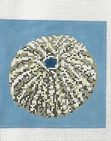 Sea Urchin on blue